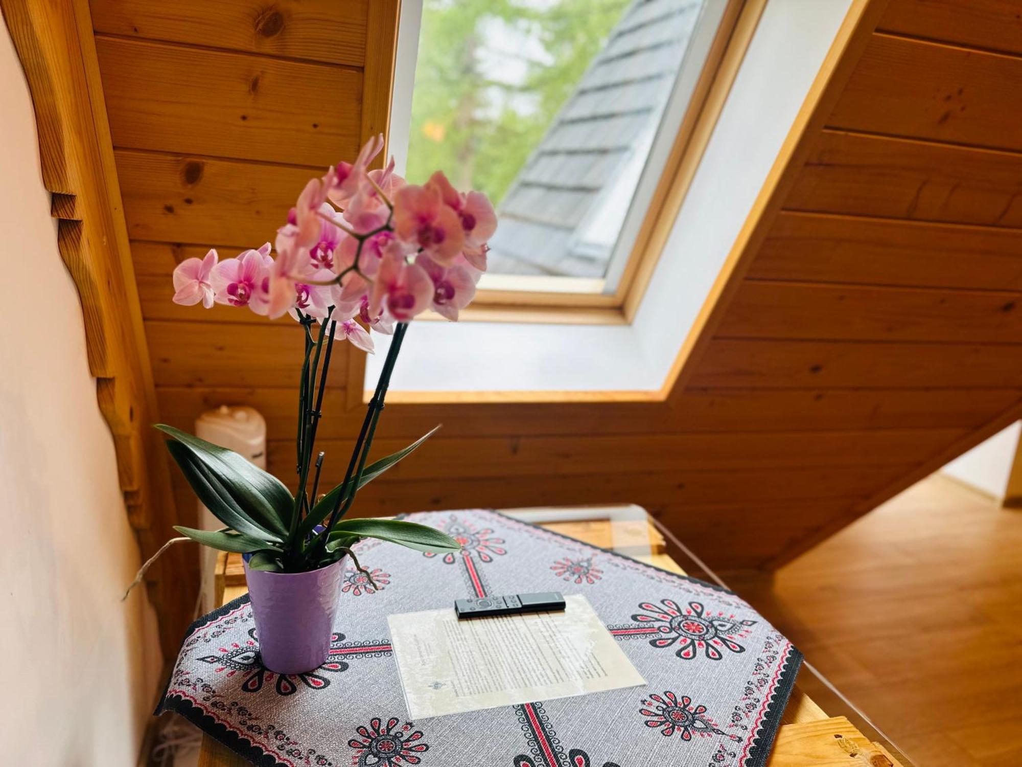 Apartment Krokiew Zakopane