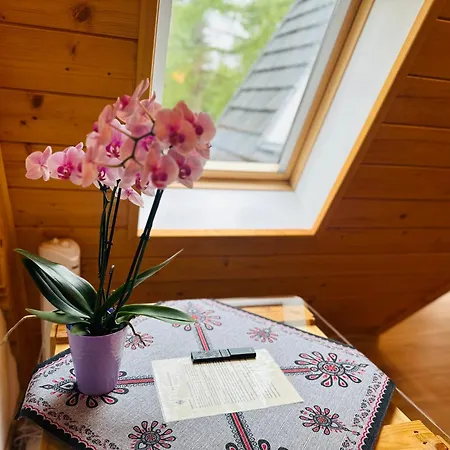 Apartamenty Krokiew Zakopane Exterior foto