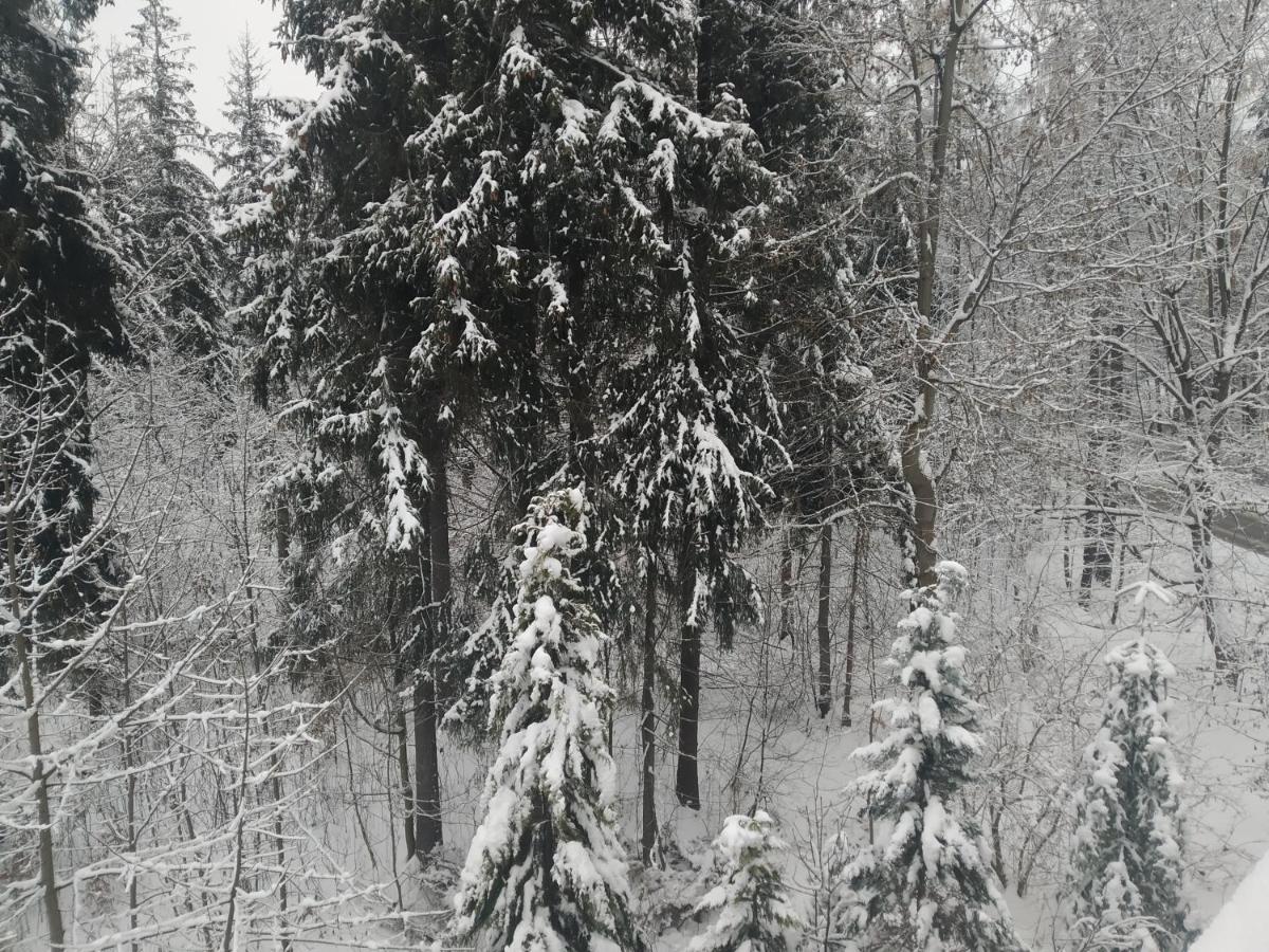 Krokiew